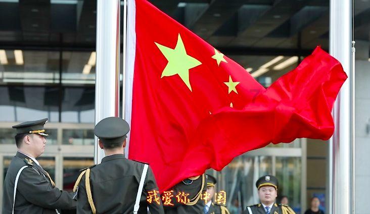 破碎的动物图形3