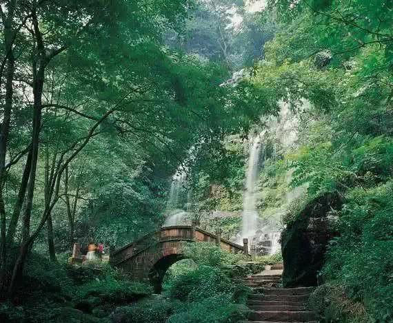 荒野坦克大战